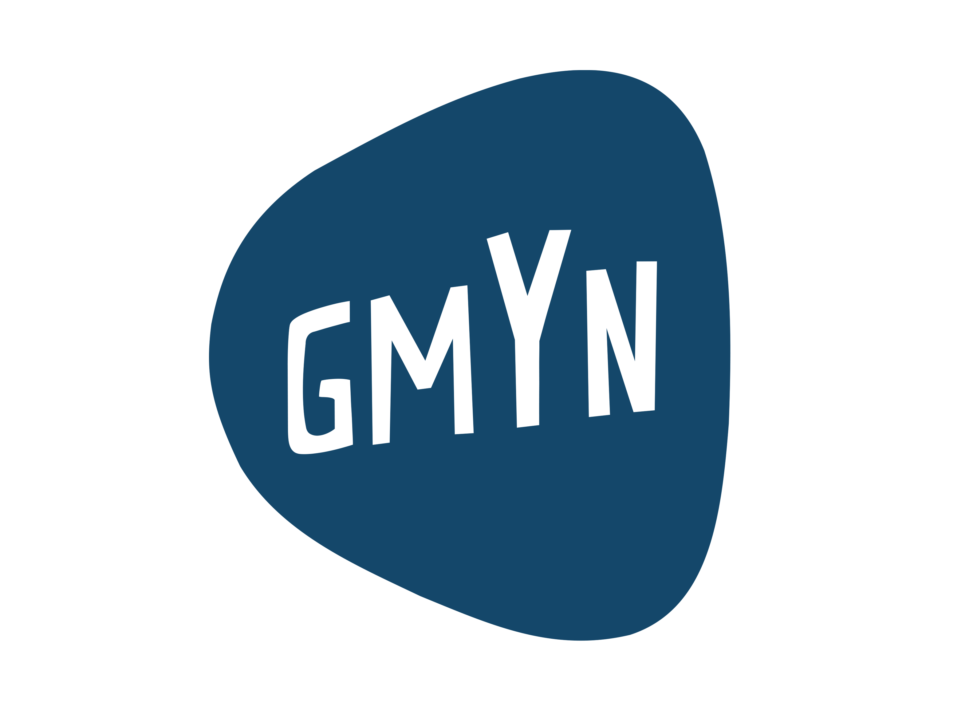 Greater Manchester Youth Network (GMYN)