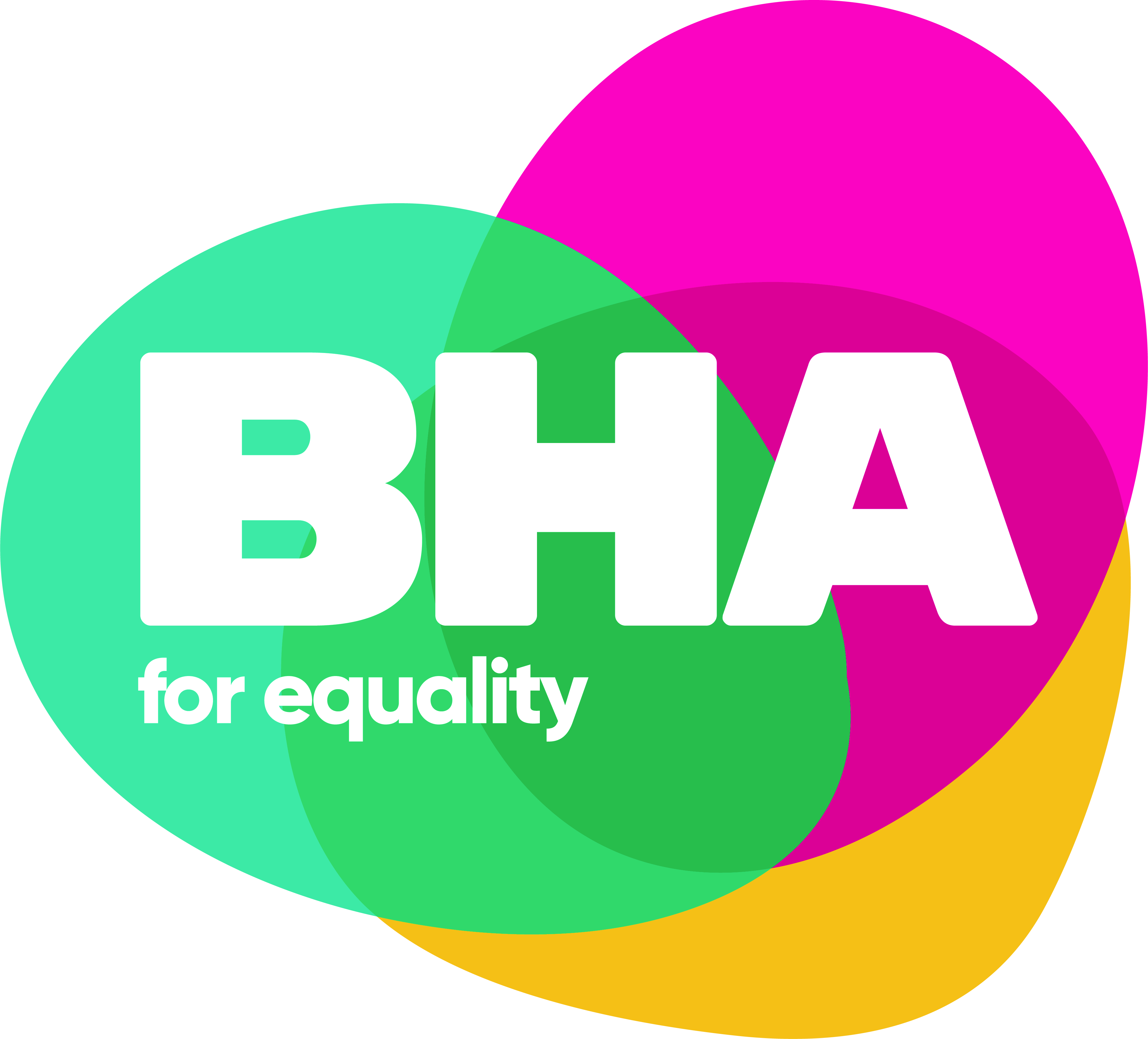 BHA For Equality